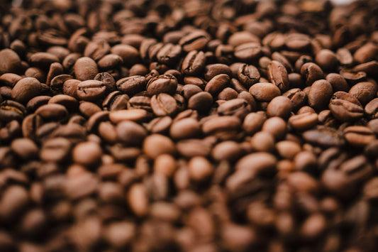 Finca La Torre - the birthplace of BHB Coffee's Flagship Coffee