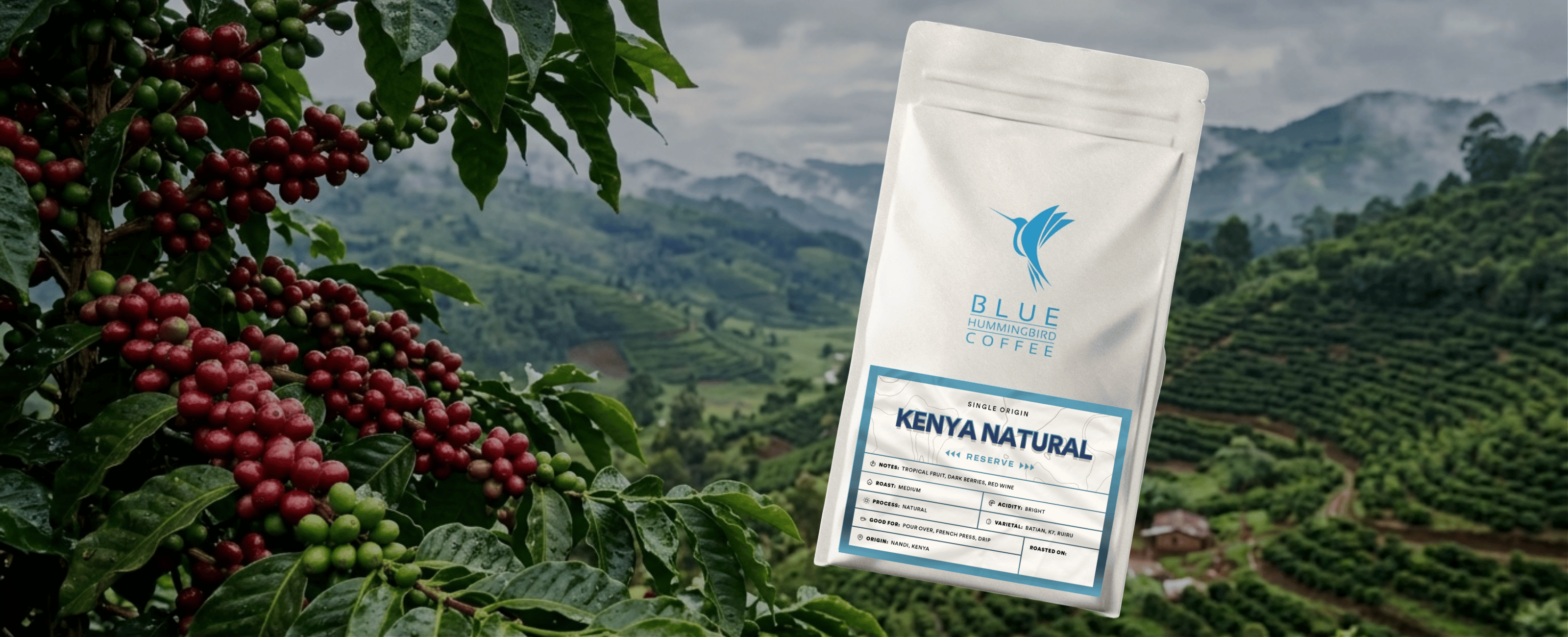 Blue Hummingbird Kenya Natural coffee bag