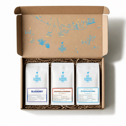 Build Your Own Sampler